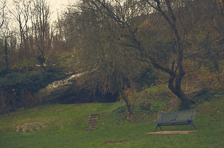 Public chair in the forest