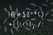 Leafy Brush Font, a Script Font by Wild Ones (Thumbnail 7 of 7)