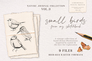 Small Birds hand drawn graphics