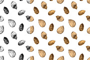 Hard nut graphic design set, a Food Illustration by handsketched (Thumbnail 12 of 18)