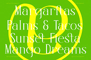 Herits Modern Serif Font, a Serif Font by AmorfaType (Thumbnail 3 of 10)