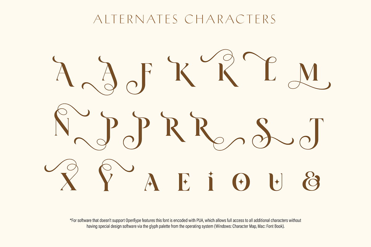 Arienne - Serif Typeface, a Serif Font by Genilson Santos (Photo 13 of 14)
