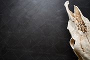Dark n Creepy Chalkboard Photo Set, a Books & Magazine Mockup by Kudzu Camera (Thumbnail 6 of 7)
