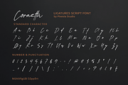 Cornetta – Handwritten Script Font, a Handwritten Font by Pixesia Studio (Thumbnail 11 of 11)