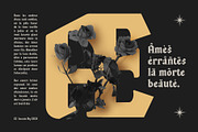 CS Hecate – Renaissance Font, a Serif Font by Craft Supply Co. (Thumbnail 4 of 8)