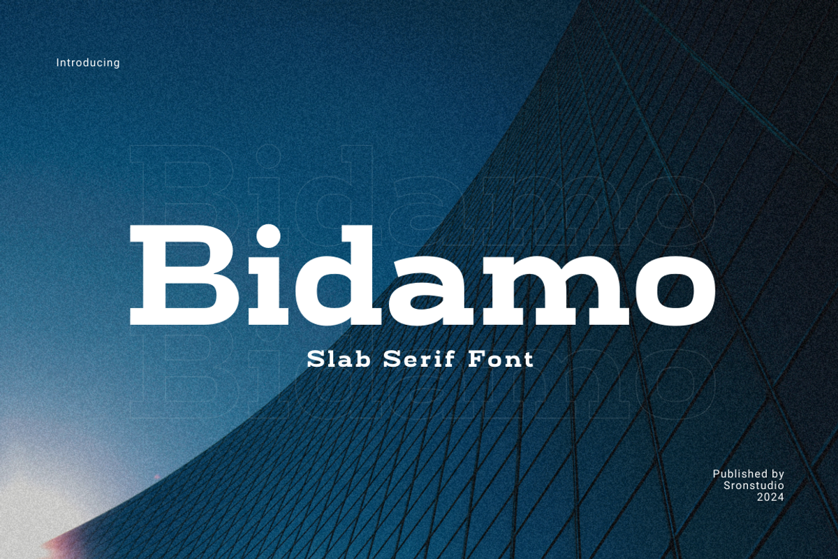 Bidamo - Slab Serif Font, a Slab Serif Font by Sronstudio (Photo 1 of 14)