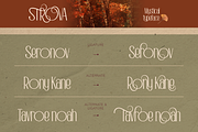 Strova, a Sans Serif Font by Burntilldead (Thumbnail 8 of 12)