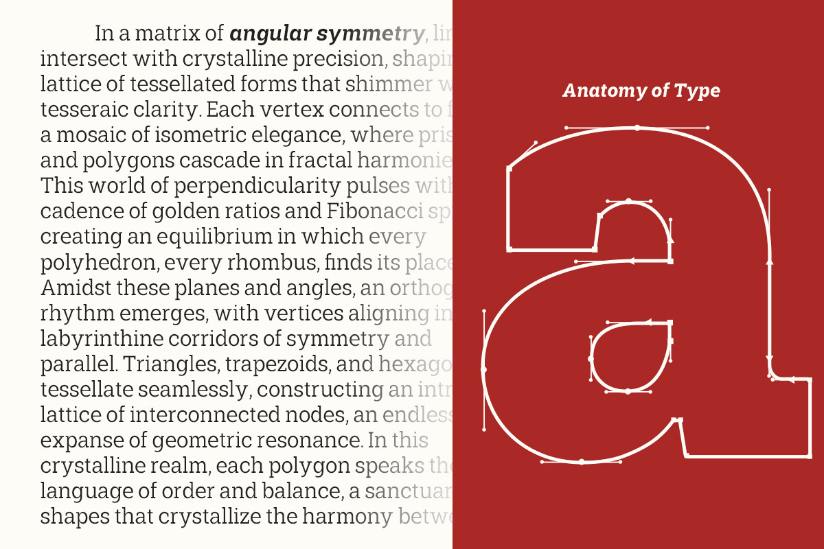 Shemekia, a Slab Serif Font by Areatype (Photo 3 of 15)