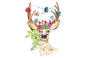 Deers Clipart, Roedeers Watercolor