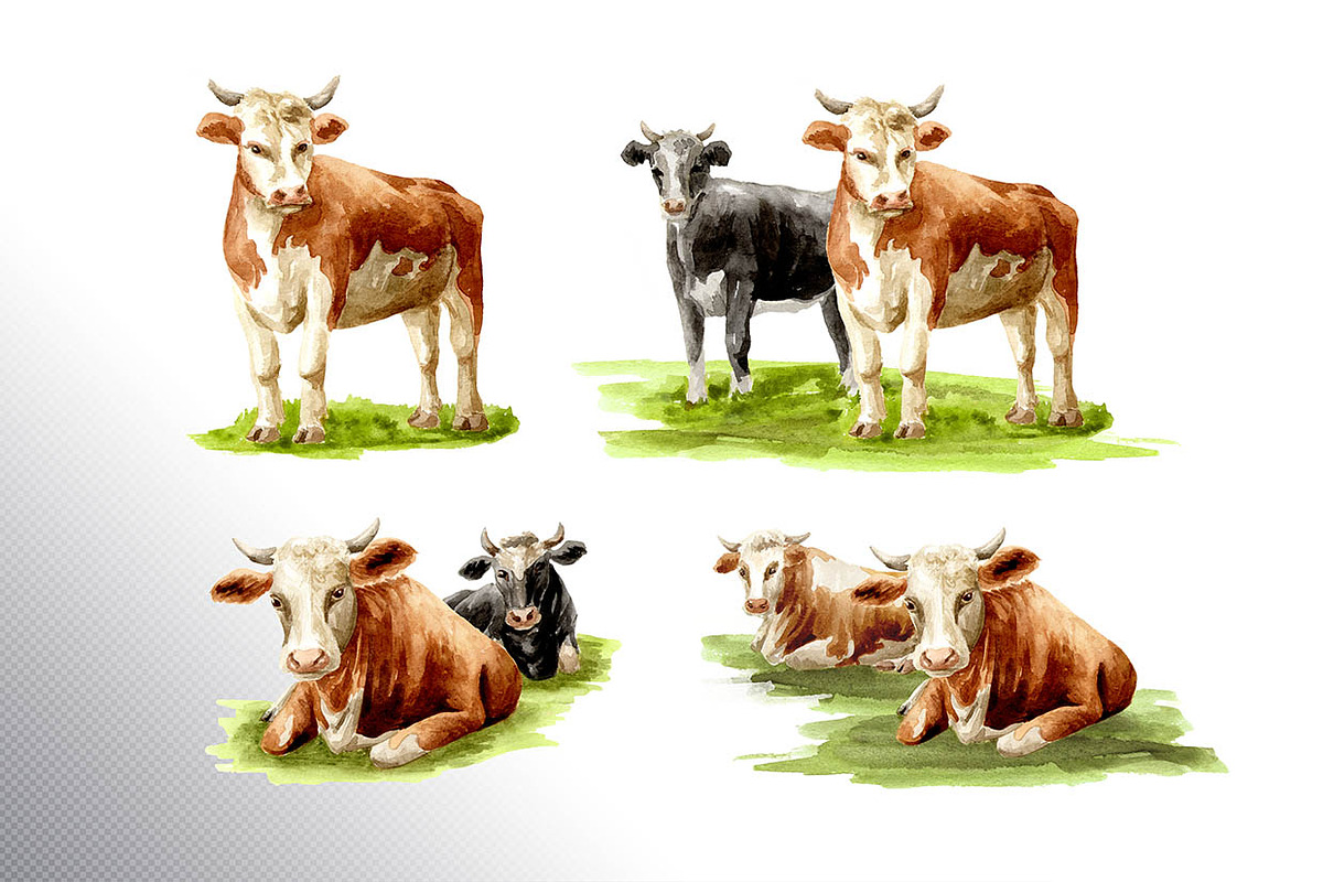Dairy Farm. Watercolor collection, an Animal Illustration by Daria Ustiugova (Photo 8 of 11)