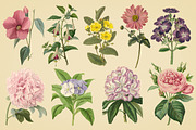 Vintage Illustrations of Flowers, an Illustration by Graphic Goods (Thumbnail 3 of 9)