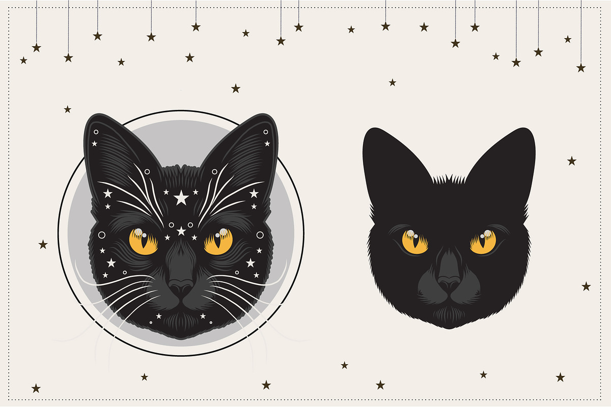 Halloween Witch, Cat, Bat Character, a Decorative Illustration by Imaginary Party (Photo 5 of 10)
