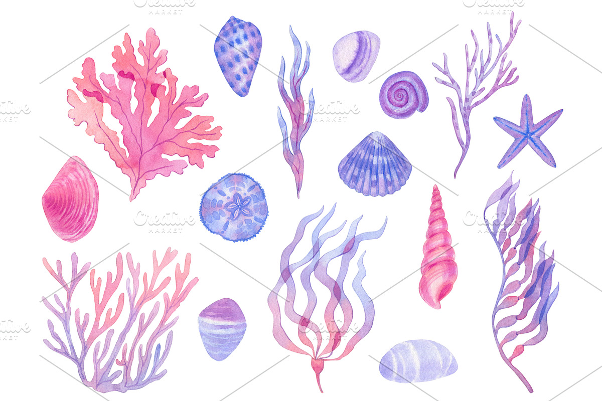 Coastal finds, a Seasonal Illustration by Watercolor life (Photo 2 of 8)