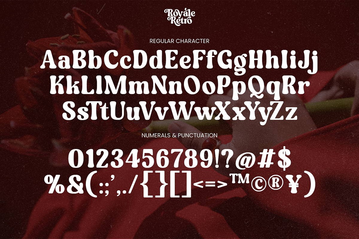 Royale Retro Whimsical Vintage Serif, a Sans Serif Font by Haps Space (Photo 6 of 10)