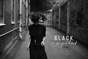 Black Winged Bird Photoshop Action, an Action Add-On by FilterAtelier (Thumbnail 7 of 7)
