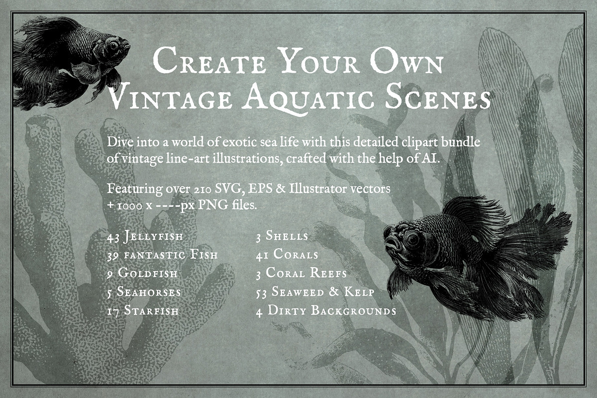Aquatic Natural History Collection, an Object Graphic by Blixa 6 Studios (Photo 2 of 24)