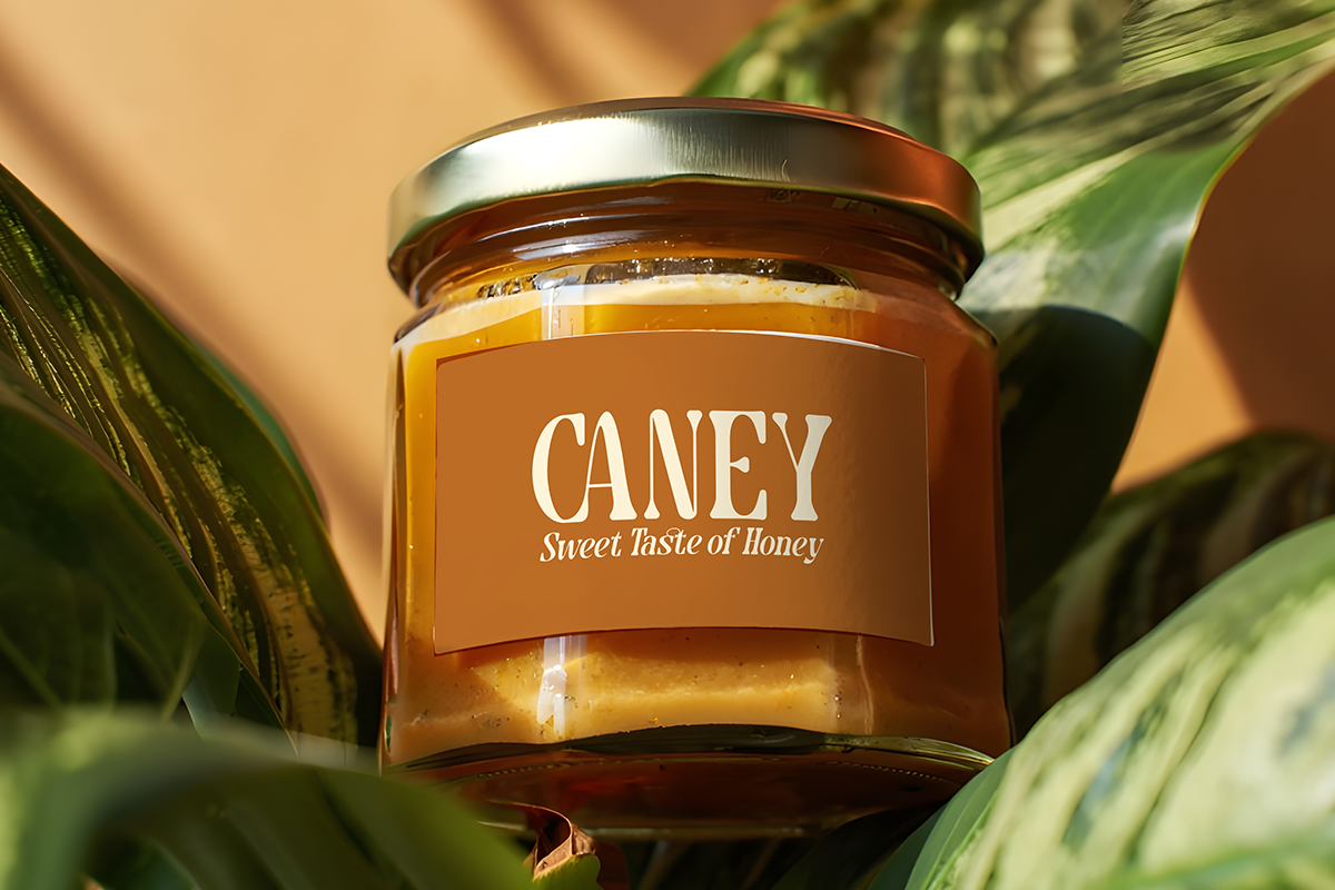 Therany - Round Serif Font, a Serif Font by Font Liner (Photo 4 of 8)