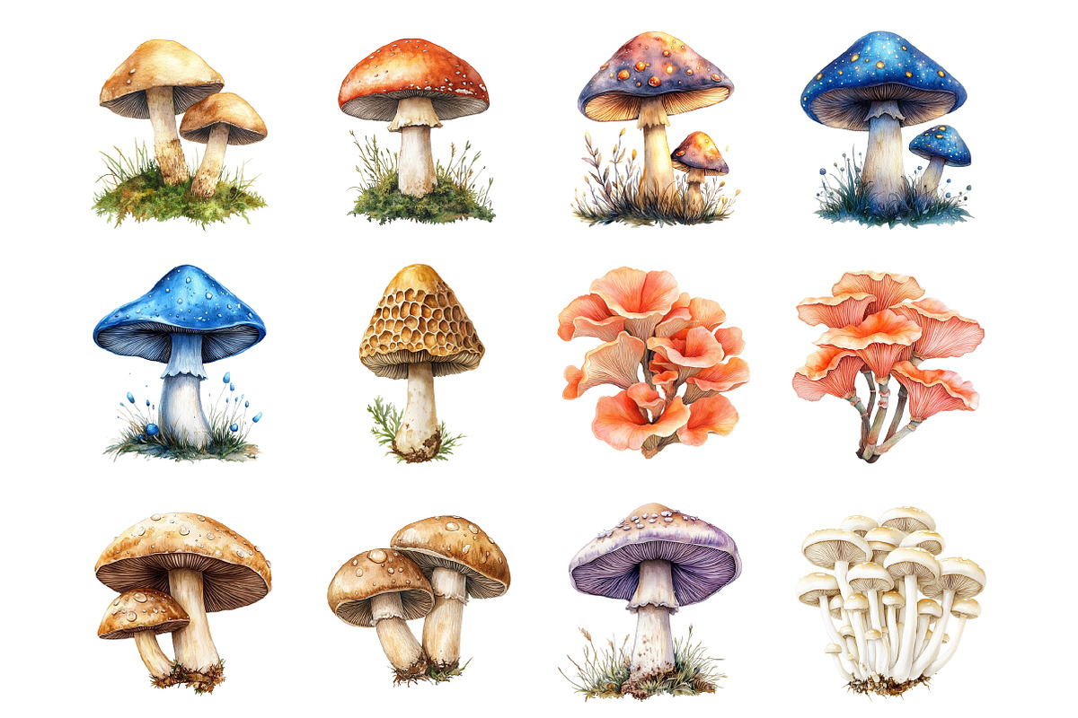 Mushrooms Clipart, an Illustration by Design Market (Photo 4 of 4)