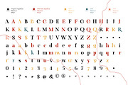Raylig - Classic Serif, a Serif Font by zelow type (Thumbnail 12 of 15)