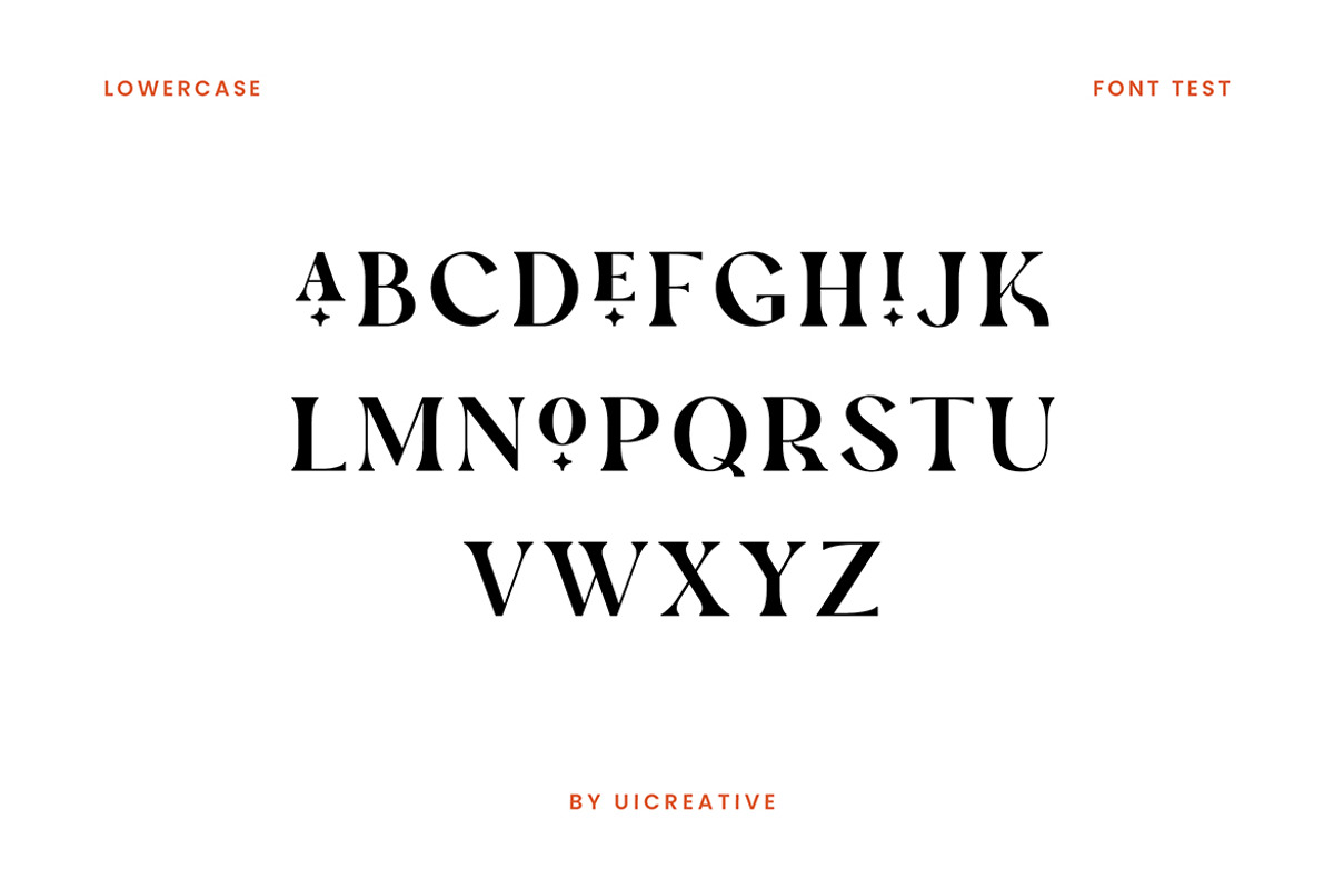 Xander Swordfish Ligature Serif Font, a Serif Font by UICreative (Photo 10 of 13)