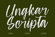 Ungkar Scripta Modern Brush Font, a Script Font by stylishtype.co (Thumbnail 1 of 20)