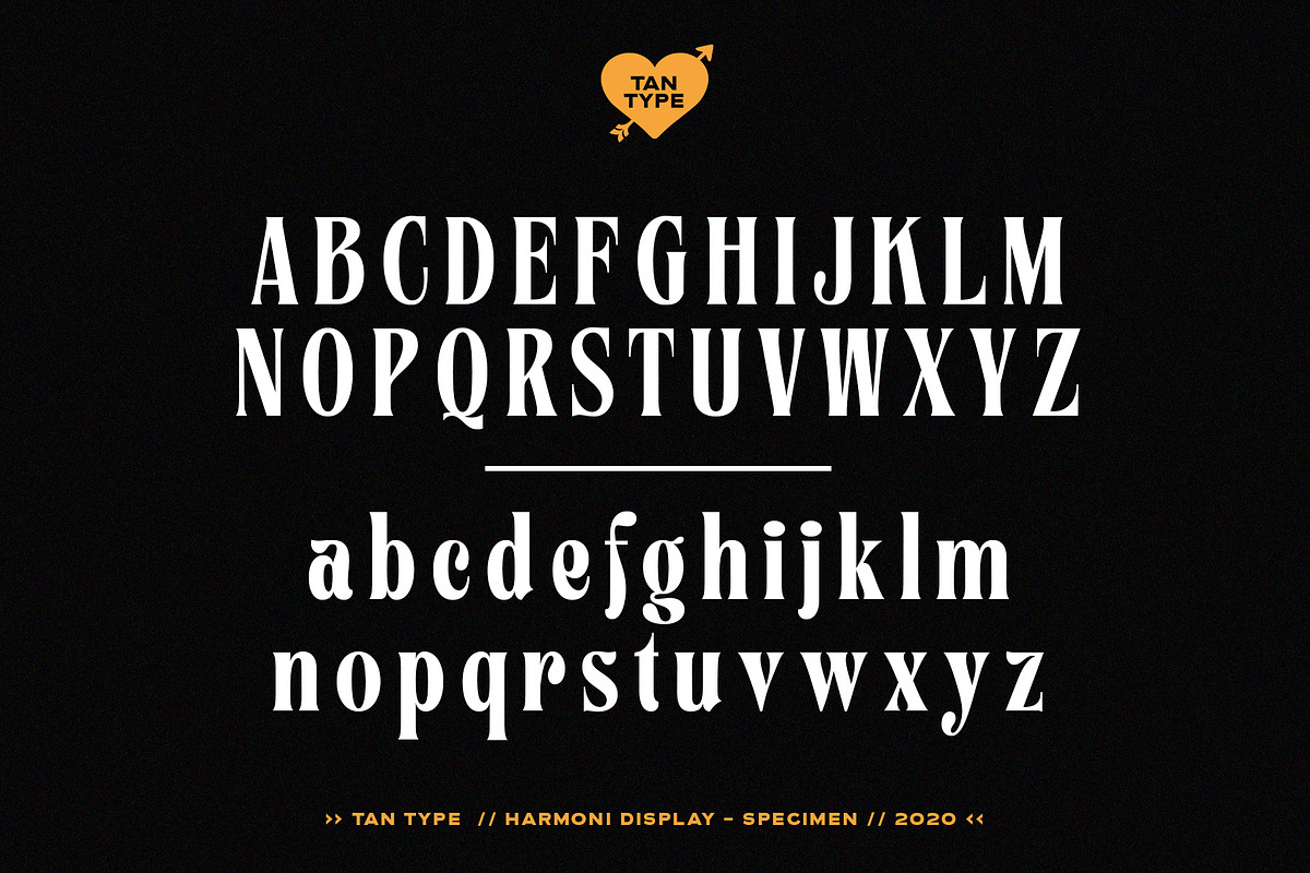 TAN - Harmoni, a Serif Font by TanType (Photo 14 of 19)