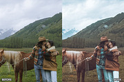 Landscape Nature Lightroom Presets, a Preset Add-On by AAA Presets (Thumbnail 8 of 22)