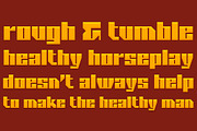 Blackheath Pro AOE, a Sans Serif Font by Astigmatic (Thumbnail 6 of 7)