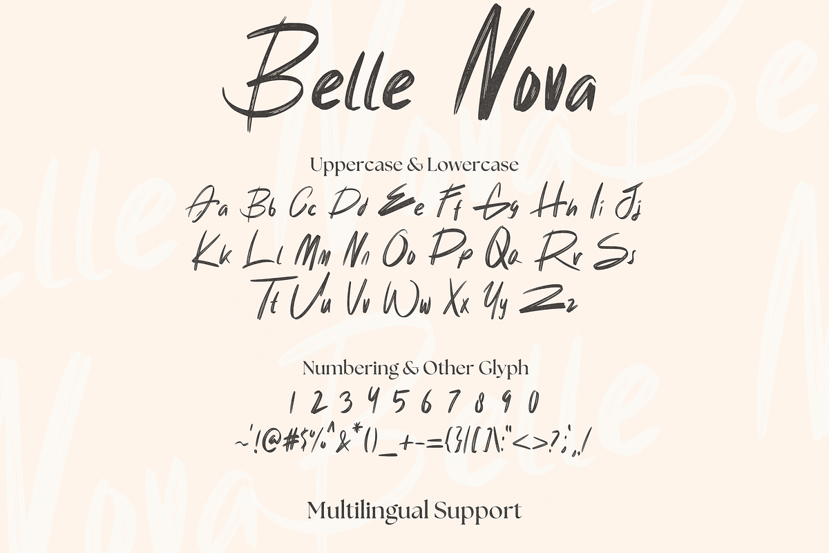 Belle Nova - Stylish Brush Font, a Handwritten Font by Dm Studio (Photo 9 of 10)