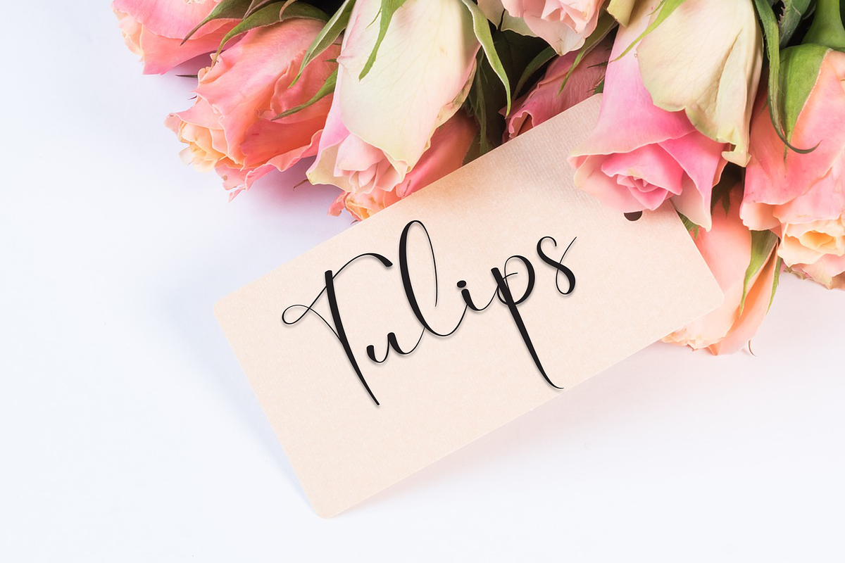 Sometimes | Script Font, a Handwritten Font by Scratchones (Photo 4 of 8)