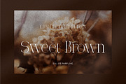 Qoency Modern Serif, a Serif Font by Glyphstyle (Thumbnail 3 of 8)
