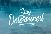 Fronds Getturing (50% Off), a Script Font by Gatype (Thumbnail 7 of 8)
