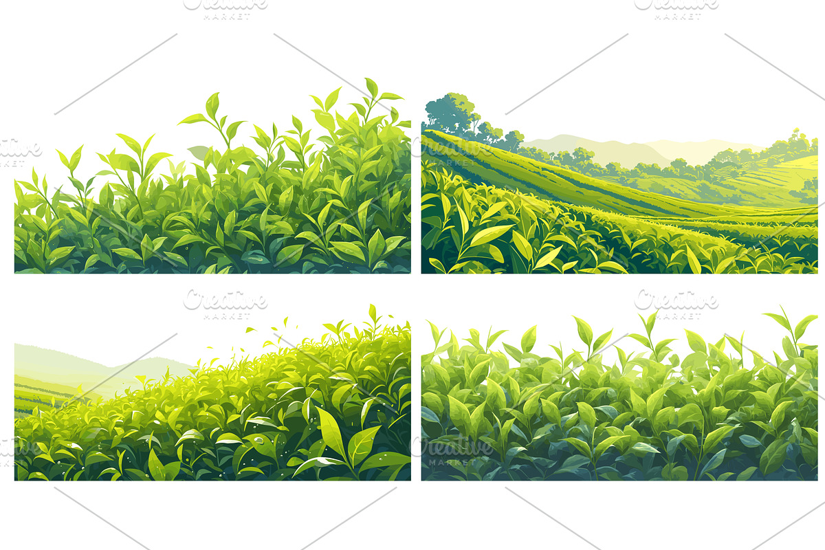 Cartoon tea plantation border set, an Illustration by Stock-Smart-Start