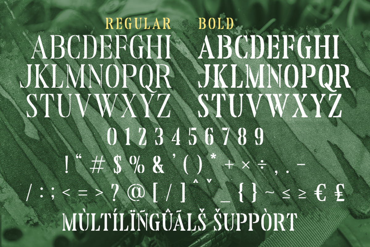 Reloaded - Military Serif Font, a Serif Font by Almarkhatype (Photo 9 of 10)