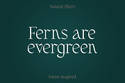 Fernhead Decorative Serif Font, a Serif Font by Headfonts (Thumbnail 6 of 11)