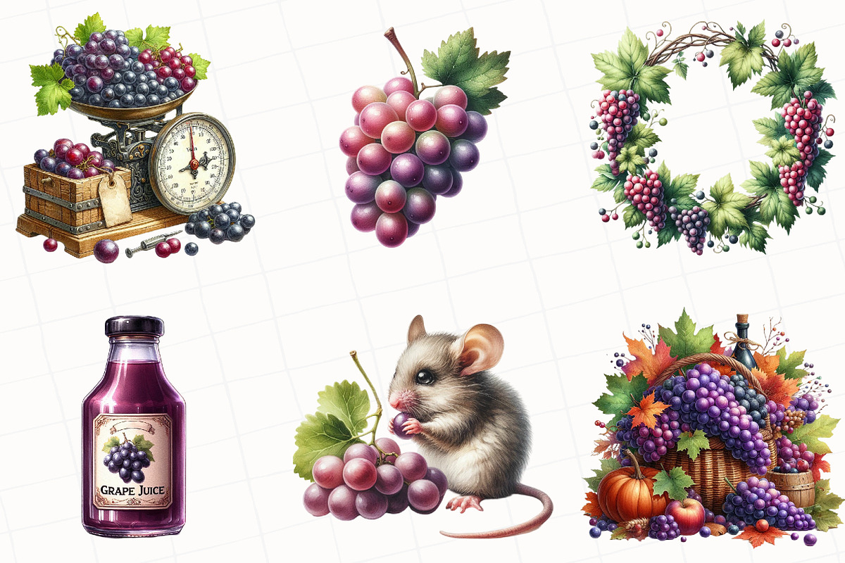 Watercolor Grape Clipart, an Illustration by OK Design (Photo 3 of 5)