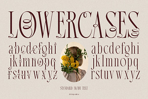 Broshock Typeface