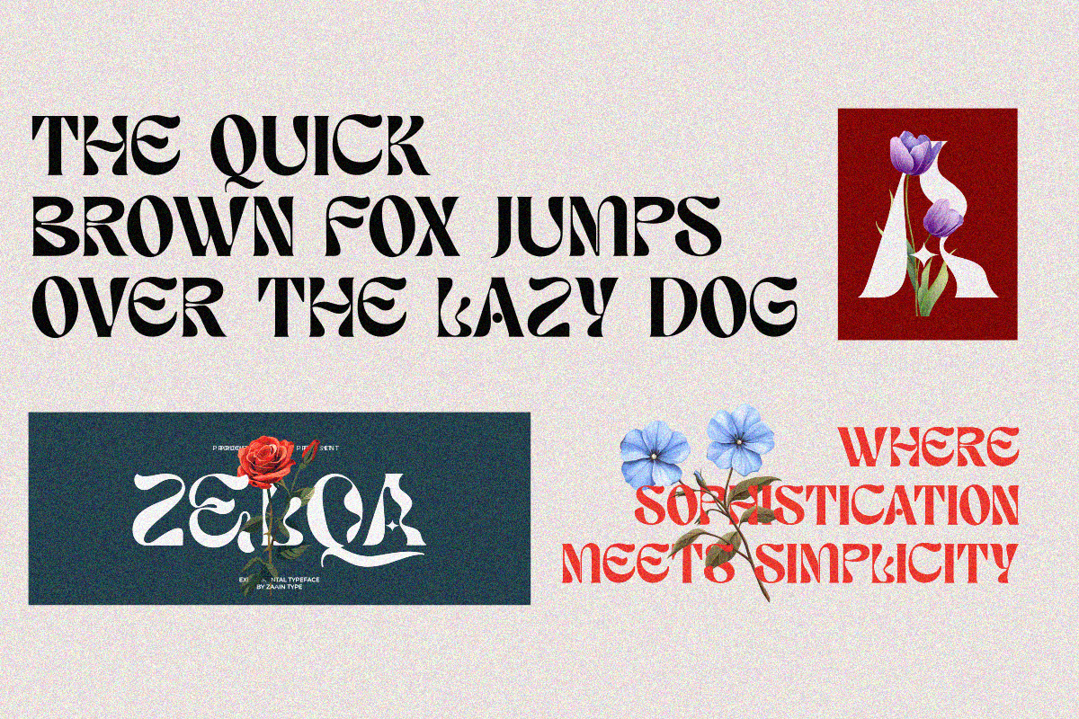 Zelqa, a Serif Font by zaaintype (Photo 3 of 8)
