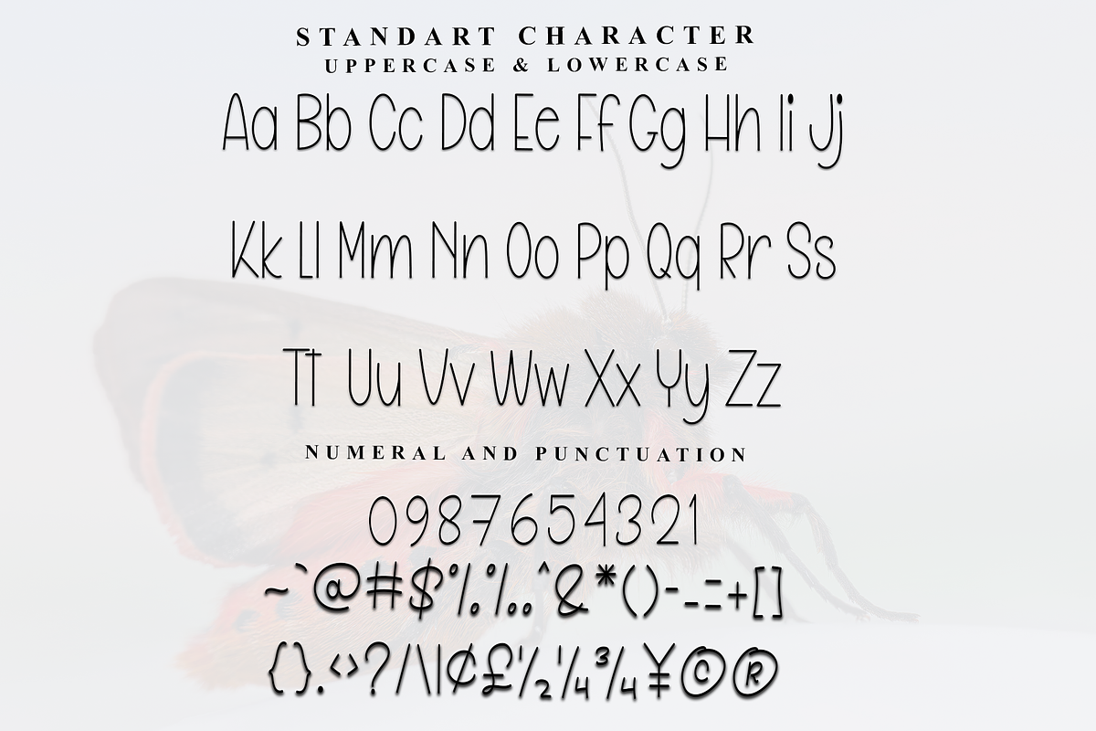 Verwalter, a Sans Serif Font by InermediaSTUDIO (Photo 7 of 7)