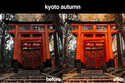 11 Japanese Lightroom Presets, a Preset Add-On by Gridfiti (Thumbnail 9 of 12)