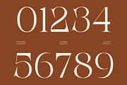 CS Aletris – Modern Serif Font, a Serif Font by Craft Supply Co. (Thumbnail 6 of 8)