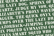 CASH, a Serif Font by Loudoun Design Co. (Thumbnail 6 of 7)