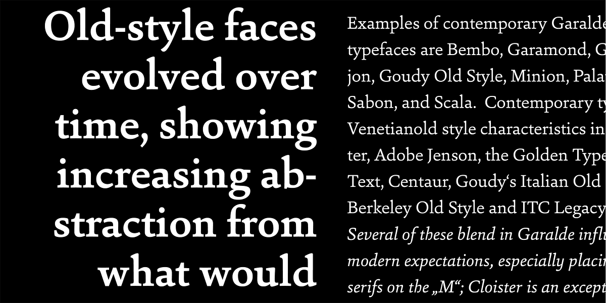 Sina, a Serif Font by Hoftype (Photo 6 of 15)