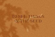 Riglia - Luxury Serif Font, a Serif Font by Creavora (Thumbnail 9 of 9)