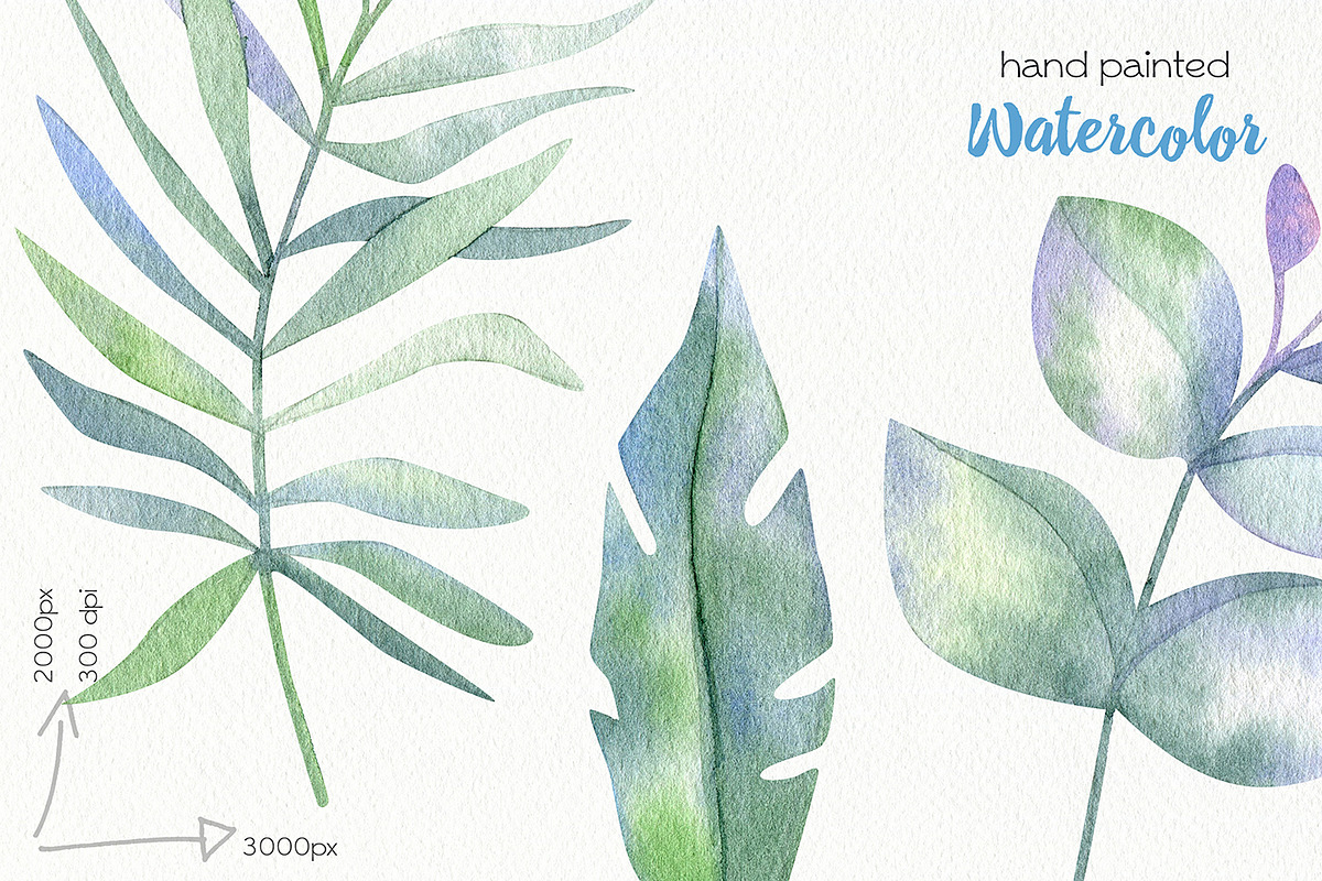 Watercolor Flowers Bundle, an Illustration by OllyKo Art (Photo 14 of 15)