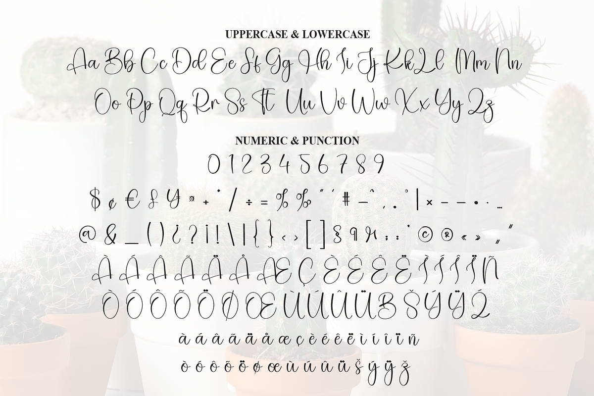 Cactus | Script Font, a Handwritten Font by Scratchones (Photo 7 of 9)