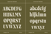 Callgest Display Font - 3 Styles, a Serif Font by Martype Co (Thumbnail 8 of 14)