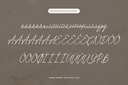 Anindya Barielle Handwritten Script, a Script Font by Denustudios (Thumbnail 13 of 15)