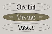 CS Sterling – Classic Font, a Serif Font by Craft Supply Co. (Thumbnail 3 of 8)