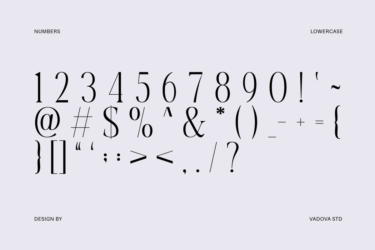 Melarune Modern Elegant Serif Font, a Serif Font by Vadovastd (Photo 3 of 10)